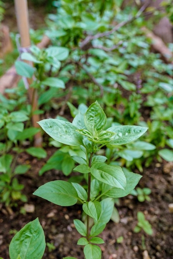 How to Implement Eco-Friendly Insulation Materials in Residential Developments for Better Energy Efficiency?